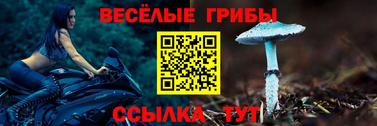 Псилоцибиновые грибы MAGIC MUSHROOMS  Вход с VPN  купить наркотик  Донецк 